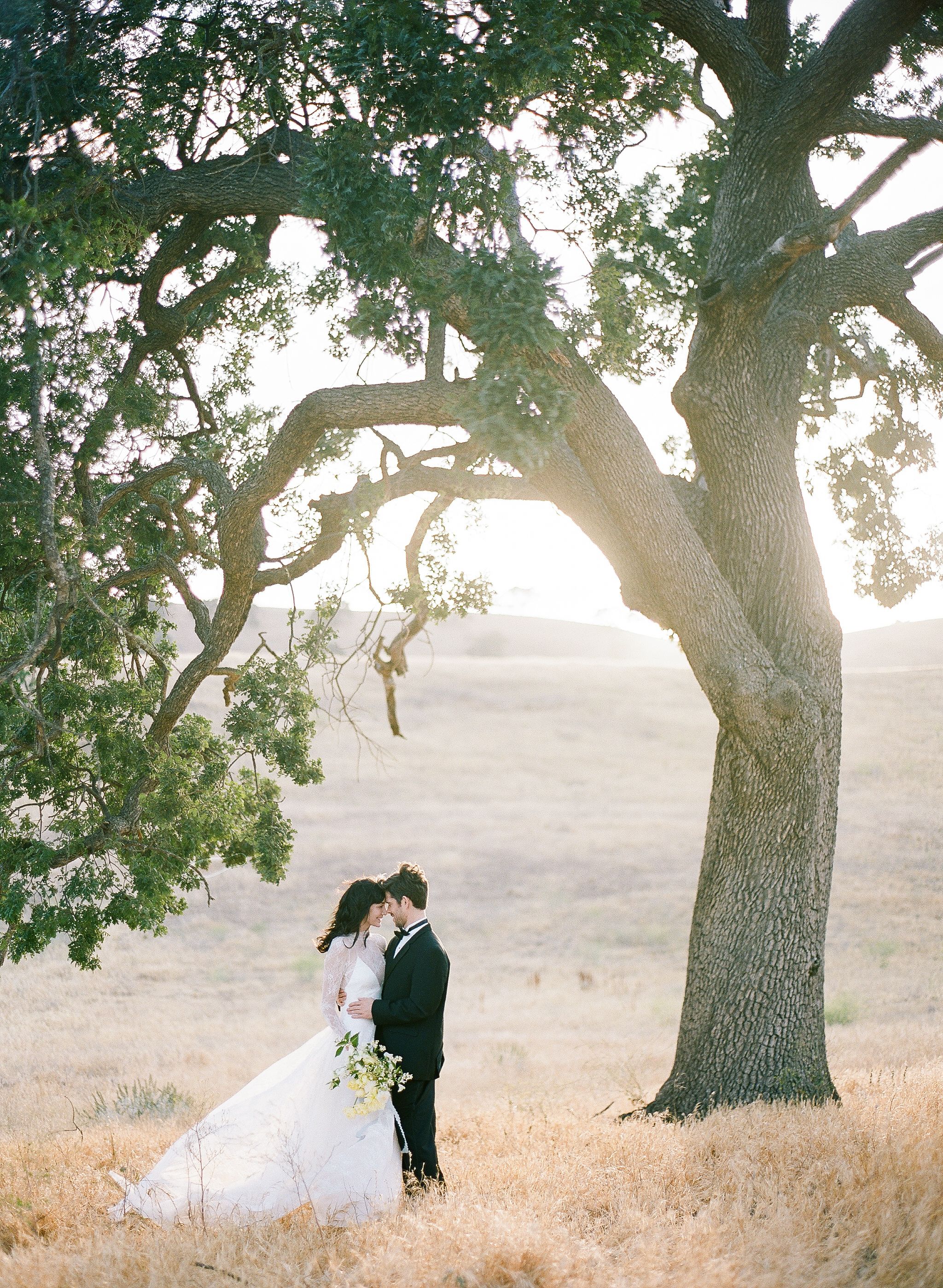 Photosbyclaudia portfolio photograph