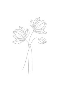 Fotografia Alicja Janiszek